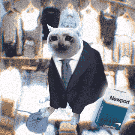 Cash Cat #9987