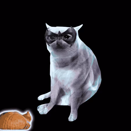 Cash Cat #9997